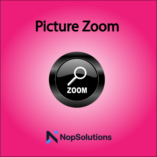 Picture of Picture Zoom